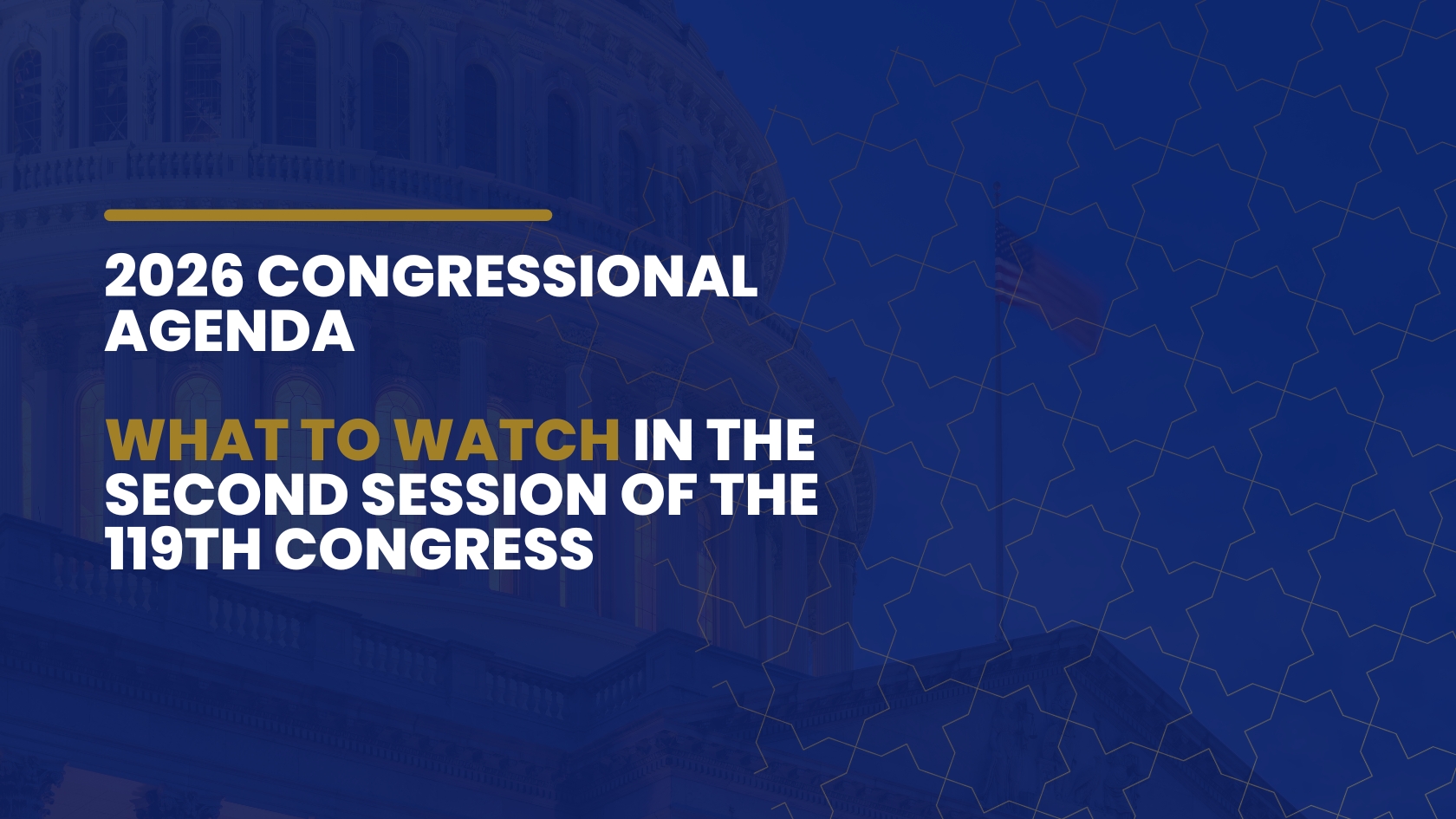 2026 Congressional Agenda What to Watch in the Second Session of the 119th Congress